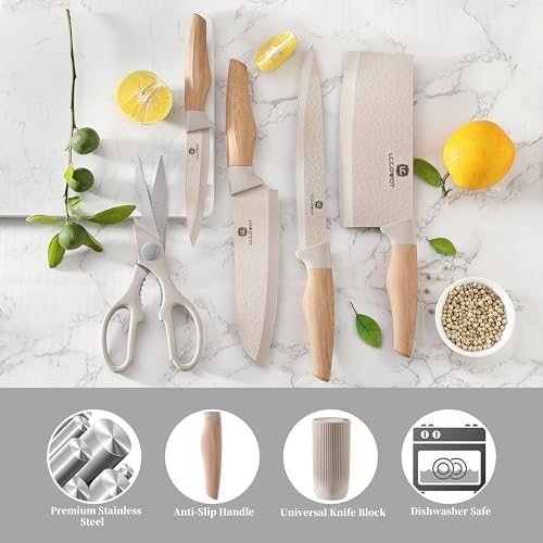 Stylish Sharp and Functional 6-Pack Knife Set