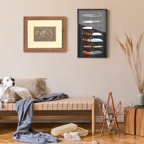 Triceratops Knife Display Case with Lockable Door 1