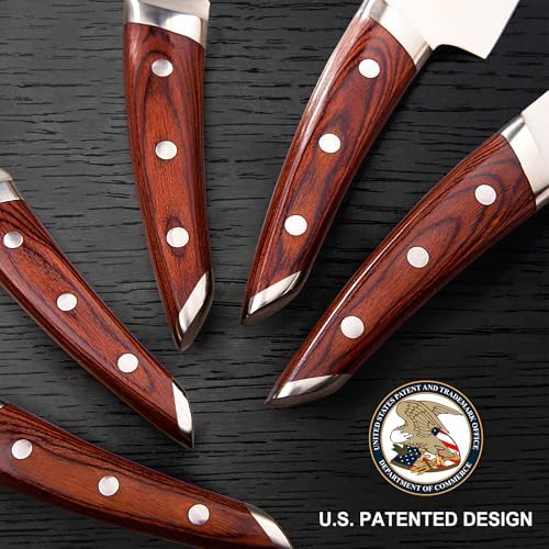 Brewins ChefiLOSOPHI Japanese Chef Knife Set 5PCS Ergonomic Design Complete Set