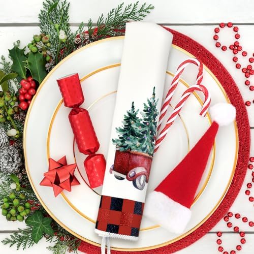 Bencailor 4-Piece Xmas Kitchen Towels Buffaloo Plaid