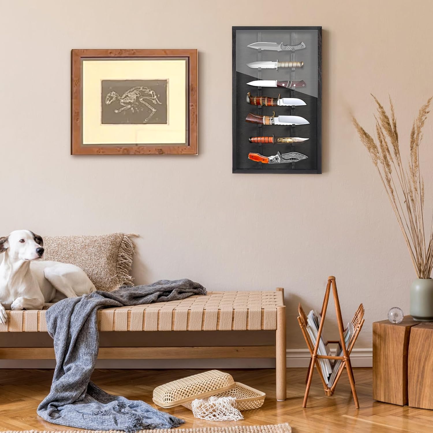Triceratops Knife Display Case with Lockable Door 1